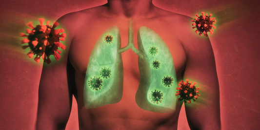 Die Schaden des Gebrauchs von Konsummittel wie Alkohol und Zigaretten für den Körper